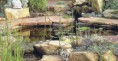 /album/fotogaleria-inicio/paisajismo02-jpg1/